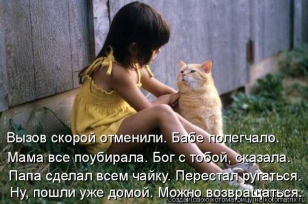 Новая котоматрица на Бугаге (28 фото)