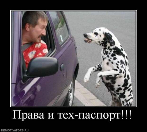Все самое прикольное в одной подборке демотиваторов.