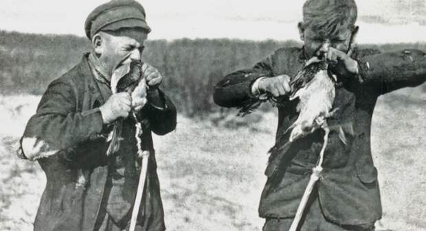 Зачем немцы кусали ворон: история одной очень странной фотографии