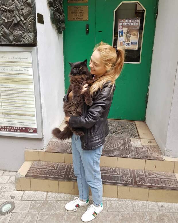 Похищение кота Бегемота
