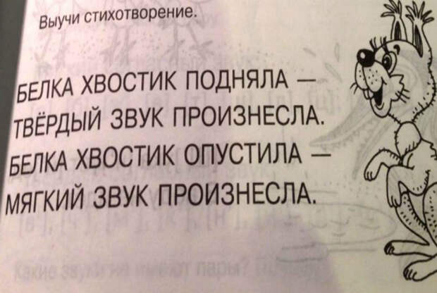 18 умопомрачительных ляпов из школьных учебников, которые заставят посмеяться от души (19 фото) 18 умопомрачительных ляпов из школьных учебников, которые заставят посмеяться от души (19 фото)