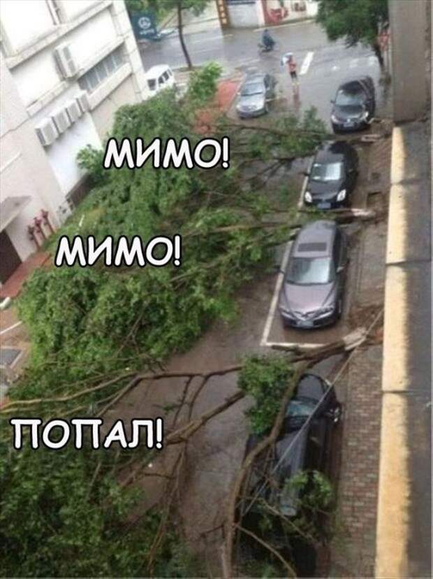 Смешные картинки с подписями катинки, прикол, юмор