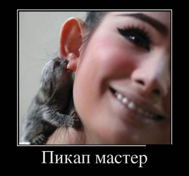 Демотиваторы (30 фото)