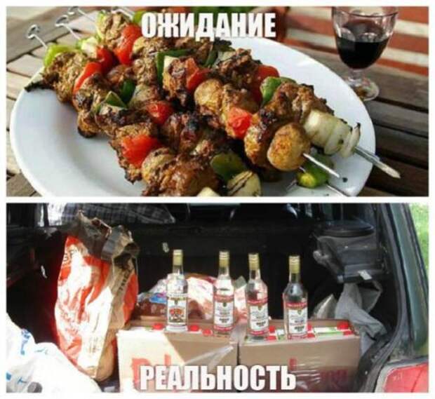 Поездка на шашлыки: ожидания vs. реальность (12 фото) Поездка на шашлыки: ожидания vs. реальность (12 фото)