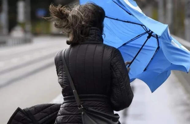 В Молдове объявлен "жёлтый код" опасности из-за сильного ветра