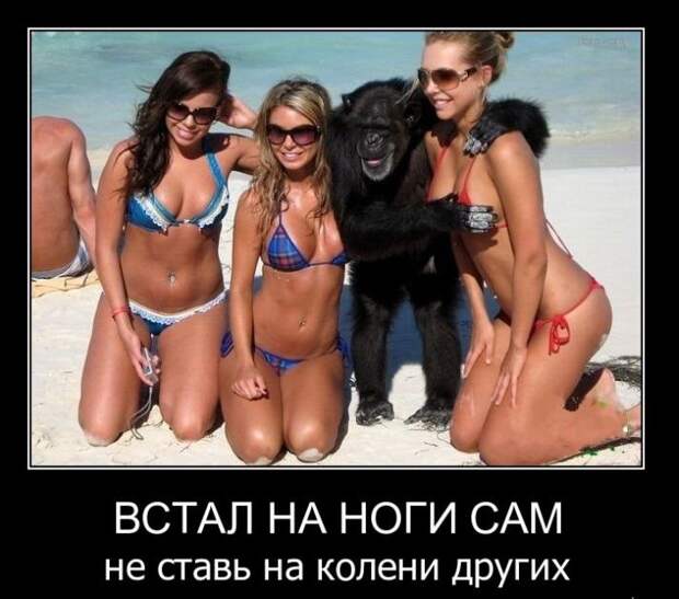 Демотиваторы (45 фото)