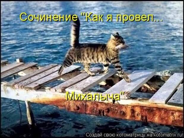Новая котоматрица (32 фото)