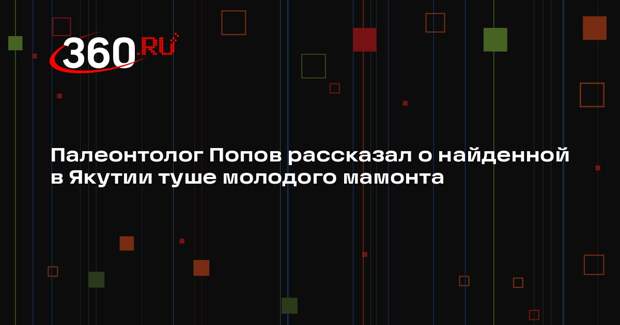 Палеонтолог Попов рассказал о найденной в Якутии туше молодого мамонта