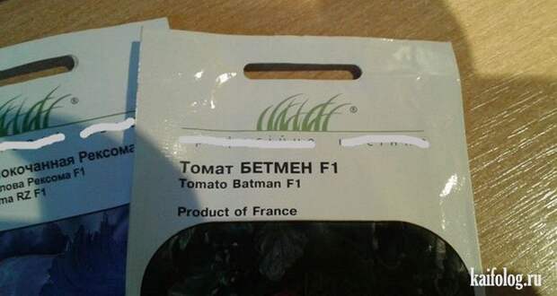 Прикольные семена (35 фото)