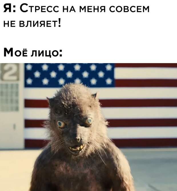 Смешные картинки вечер 18 августа 2021