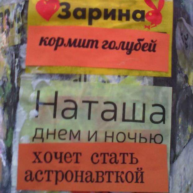Прикольные картинки (98 фото)