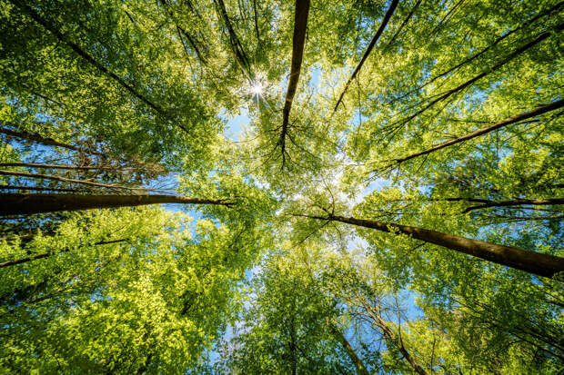 В Москве прошел деловой завтрак "Net Zero. Перезагрузка"