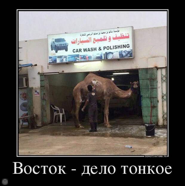 Понедельник начинается в субботу 20