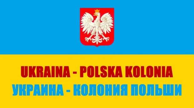 На митинге в Варшаве потребовали от Украины вернуть 5 млрд долларов На митинге в Варшаве потребовали от Украины вернуть 5 млрд долларов
