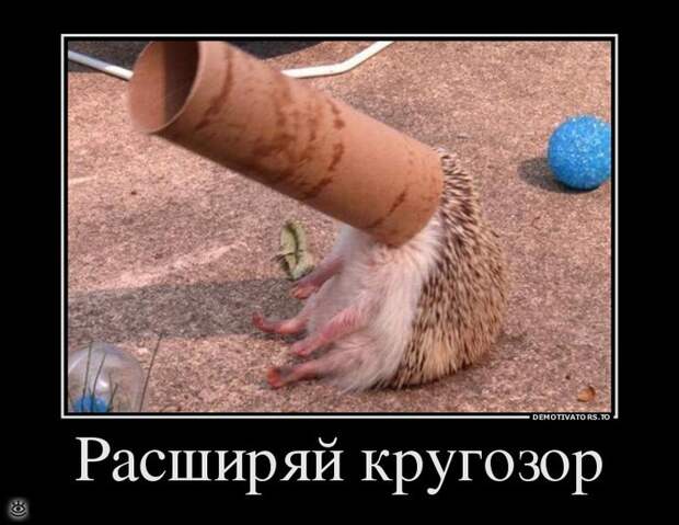 Оставь заботы всяк сюда входящий! 51