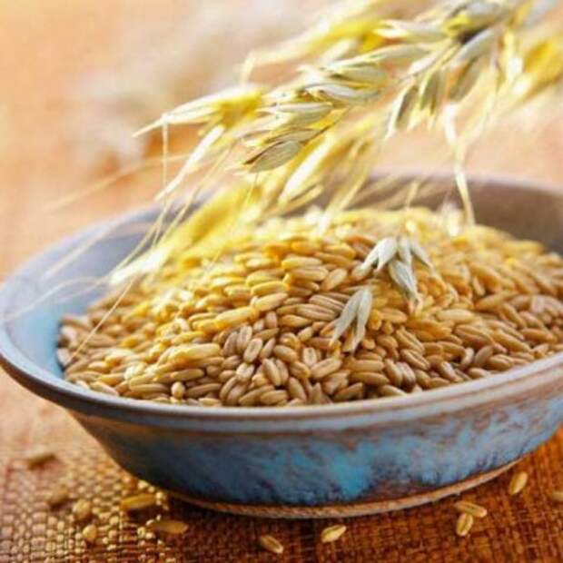 от кашля овес