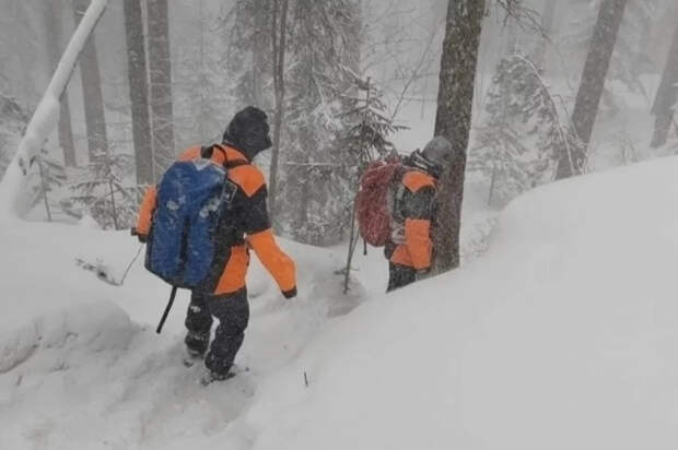 Растворился в тайге: в Красноярске ищут бесследно пропавшего спецназовца