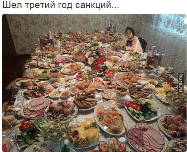 Смешные картинки с надписями прикол, юмор