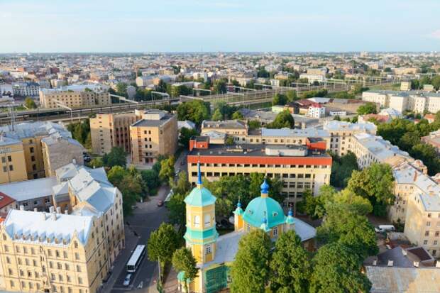 Кабаны и лисы на улицах Риги – дикие животные сбежали с полигона учений НАТО в город Кабаны и лисы на улицах Риги – дикие животные сбежали с полигона учений НАТО в город