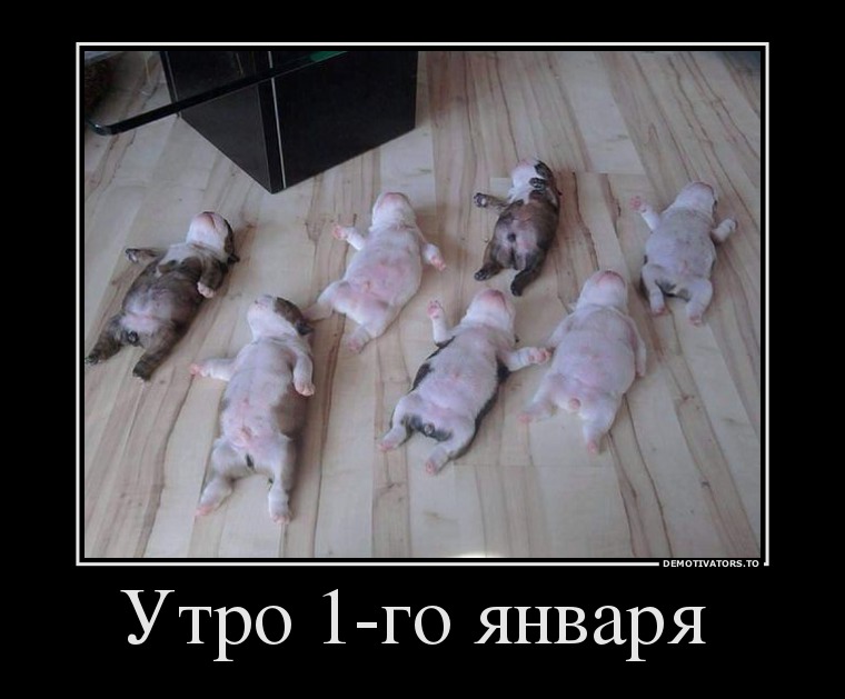 Демотиваторы демотиваторы
