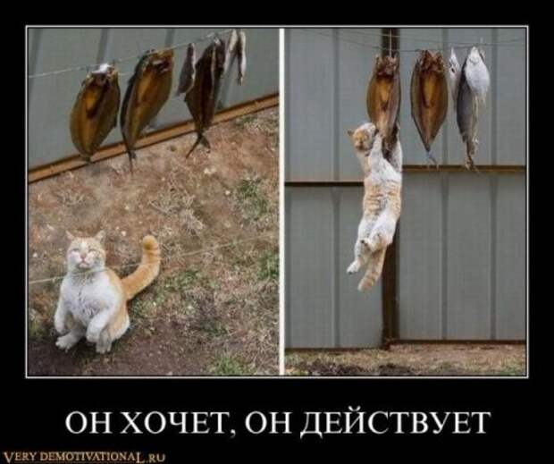 Демотиваторы смешные, с приколами к понедельнику то что надо!!!
