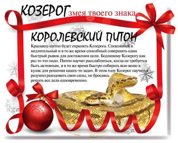 Какой змеей будешь ты в 2013 году (13 фото) Какой змеей будешь ты в 2013 году (13 фото)