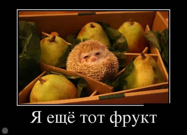 Оставь заботы всяк сюда входящий! 0