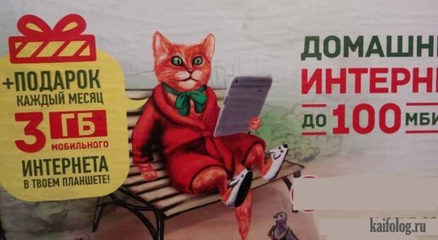 Фото приколы по-русски. Подборка - 279 (80 фото)