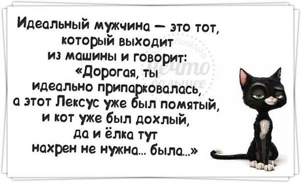 Веселые жизненные наблюдения из Вредного журнала