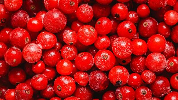 5 неожиданных преимуществ клюквы для здоровья