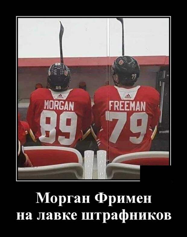 Демотиваторы (20 фото)