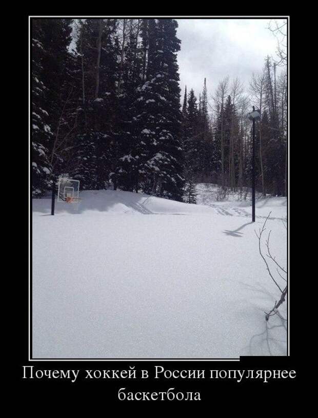 Демотиваторы (30 фото)