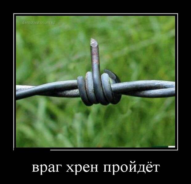 Демотиваторы бревно, демотиваторы, юмор