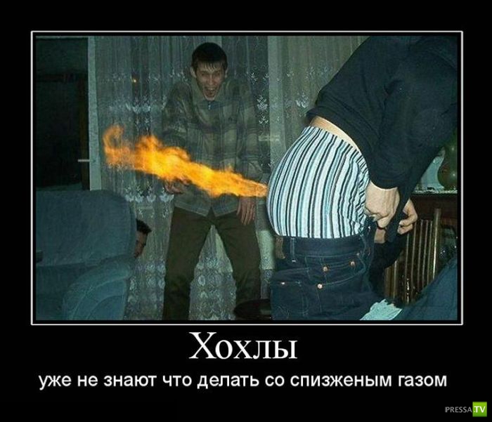 Демотиваторы на июнь, часть 10 (30 фото) Демотиваторы на июнь, часть 10 (30 фото)
