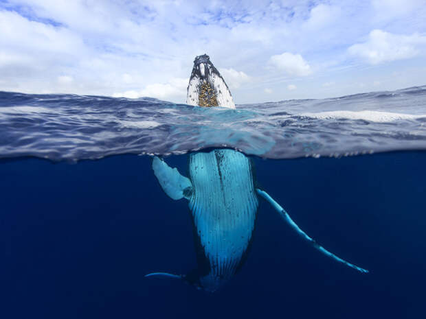 Лучшие фотографии путешественников за 2015-й год от журнала National Geographic (33 фото)