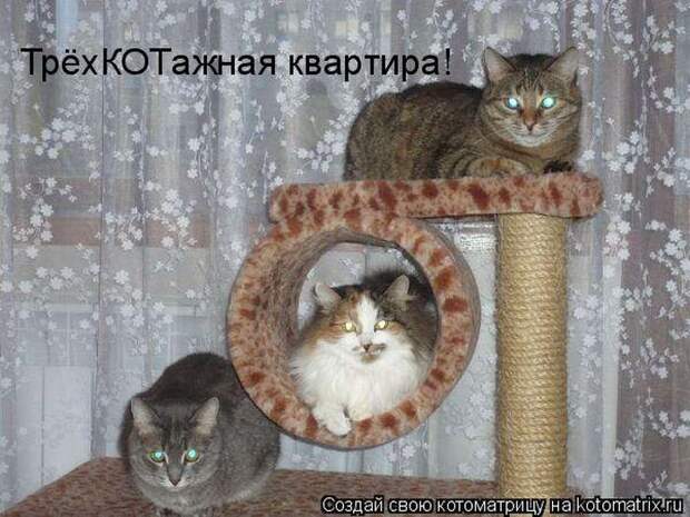 Мысли вслух :)