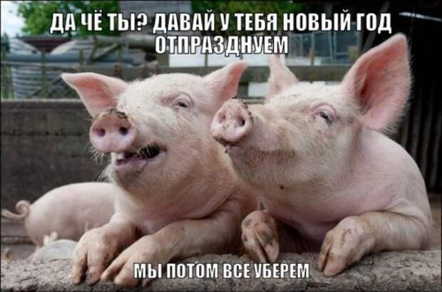 Немного новогодних приколов