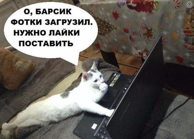 Различные прикольности 4