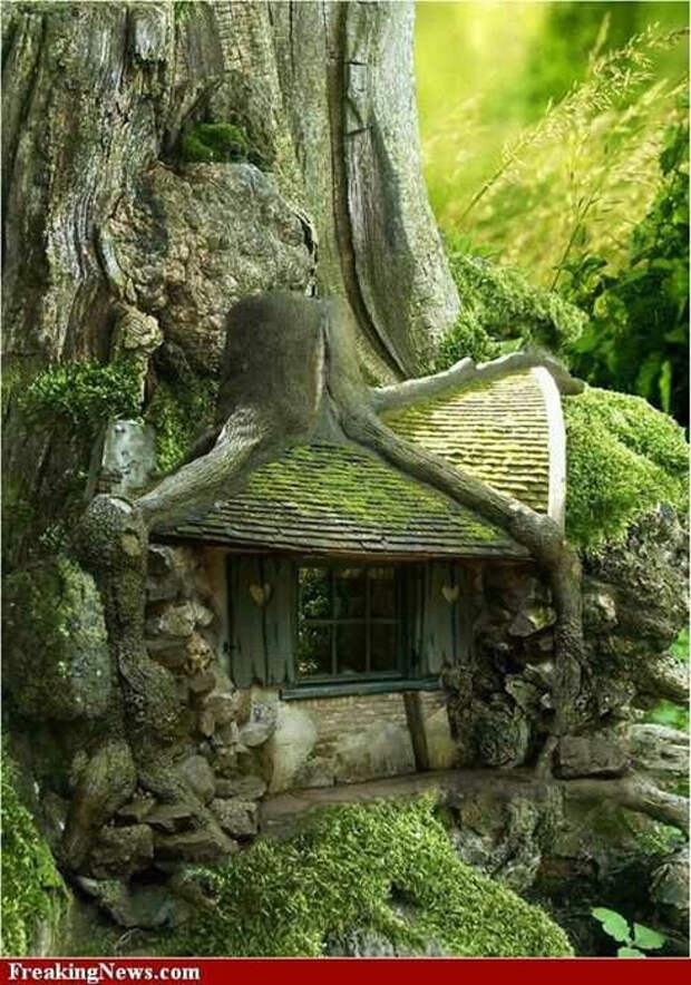 1f04b3837164339af0dc6dd018481550 (490x700, 399Kb)