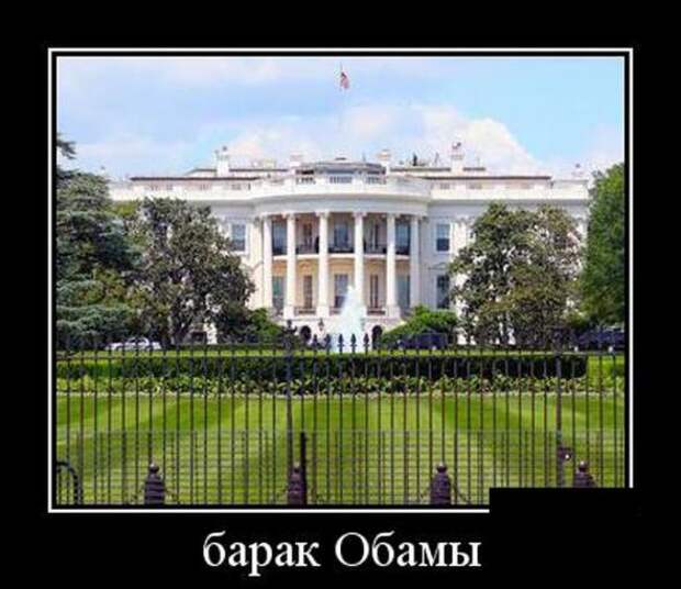 Подборка классных демотиваторов № 101