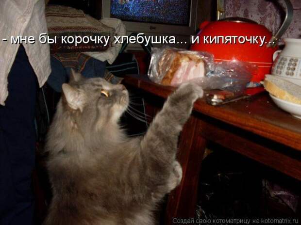 Мысли вслух :)