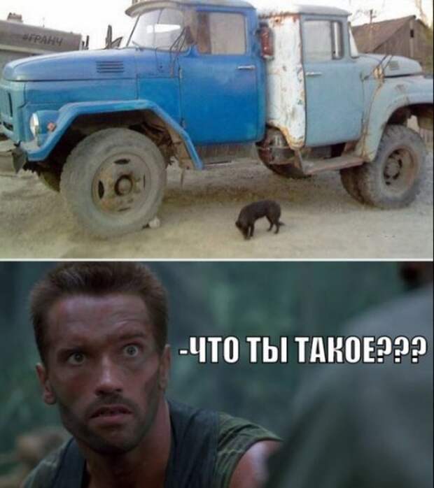 Фотоприколы на автотематику (22 шт)