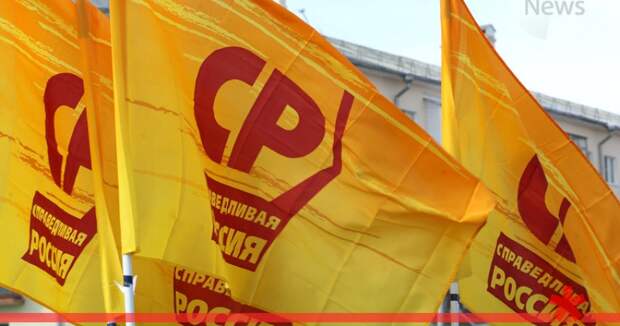 Эсеры оспорят через суд выборы в девяти муниципалитетах Петербурга