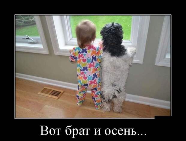 Демотиваторы №1179 (30 фото)