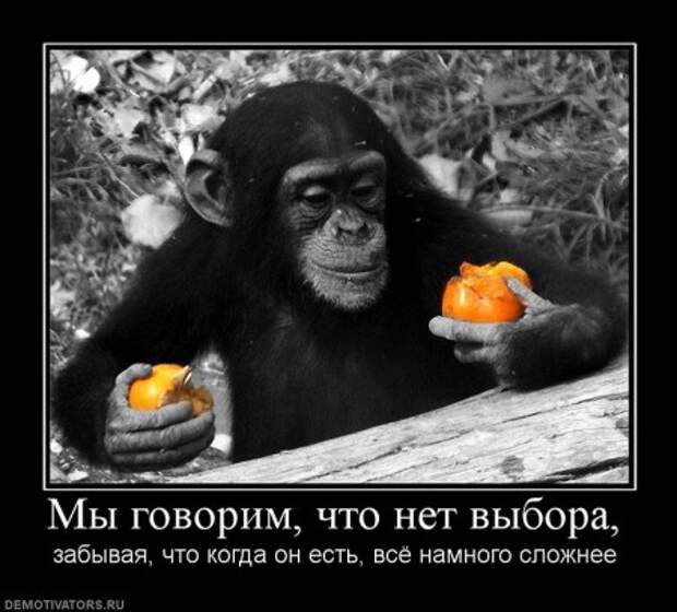 У нас редко бывают грустные демотиваторы, но и они порой нужны!