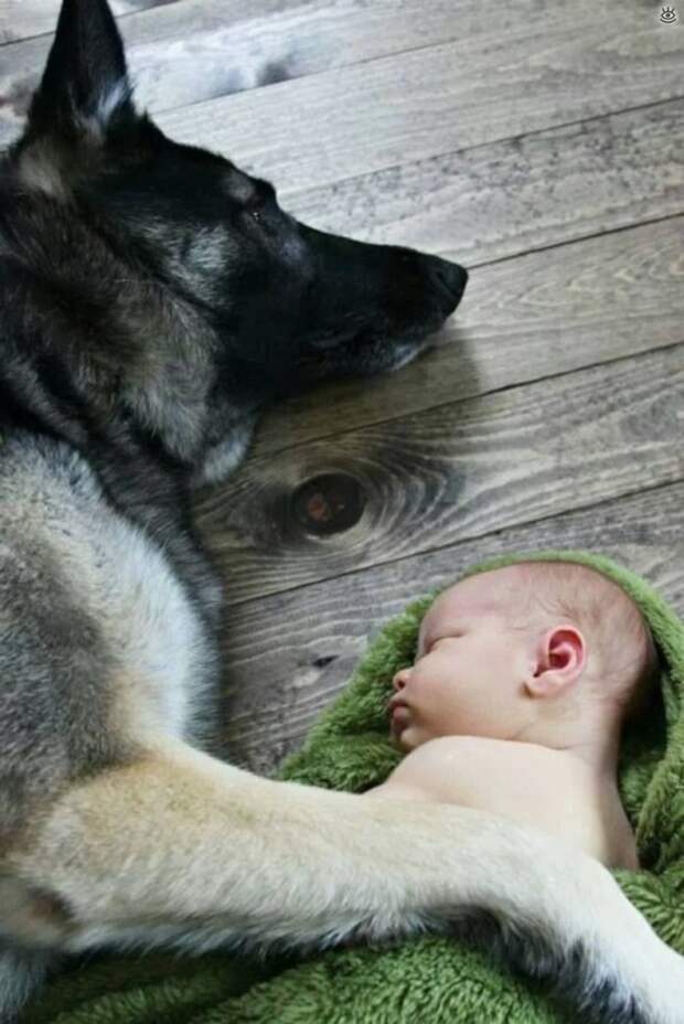 Зверушки и ребятишки 26