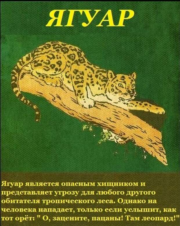 Подборка прикольных фото №1273 (103 фото)
