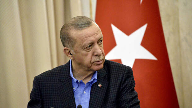 Президент Турции обсудил с Минфином, Центробанком и банкирами альтернативы системе "Мир"