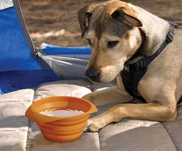 Collapsible-Travel-Pet-Bowl