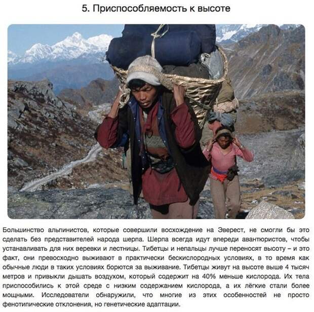 10 удивительных способностей, полученных в результате генетических мутаций 10 удивительных способностей, полученных в результате генетических мутаций